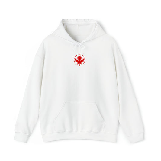From Far..Unisex Heavy Blend™ Hooded Sweatshirt